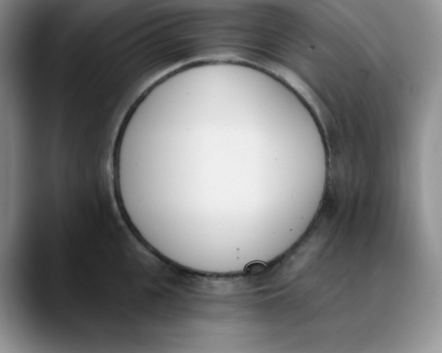 X0000089850951200707191900