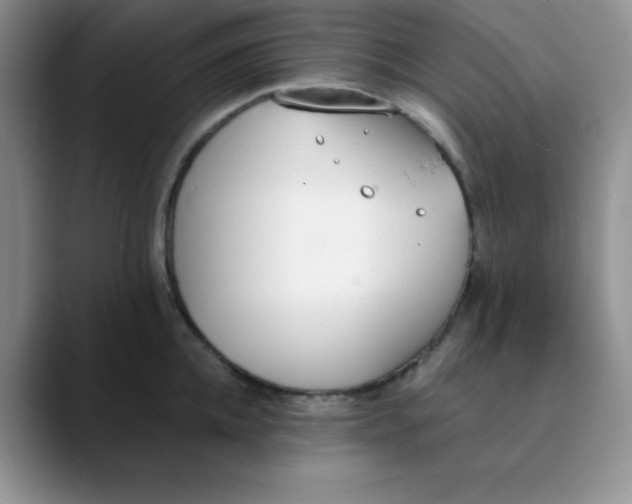 X0000089850952200707191900