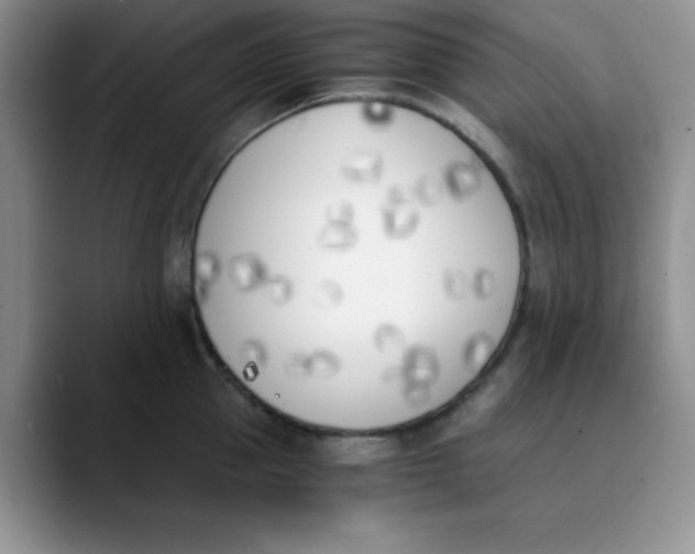 X0000089850953200707191900