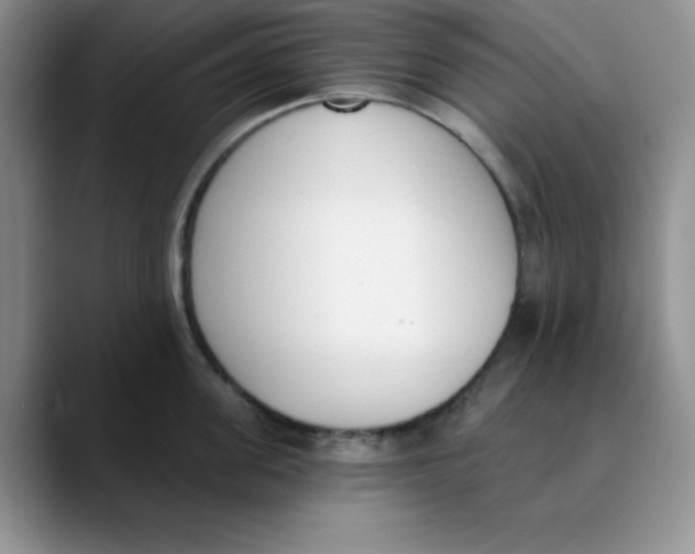 X0000089850955200707191900