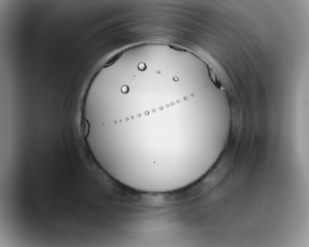 X0000089850956200707191900