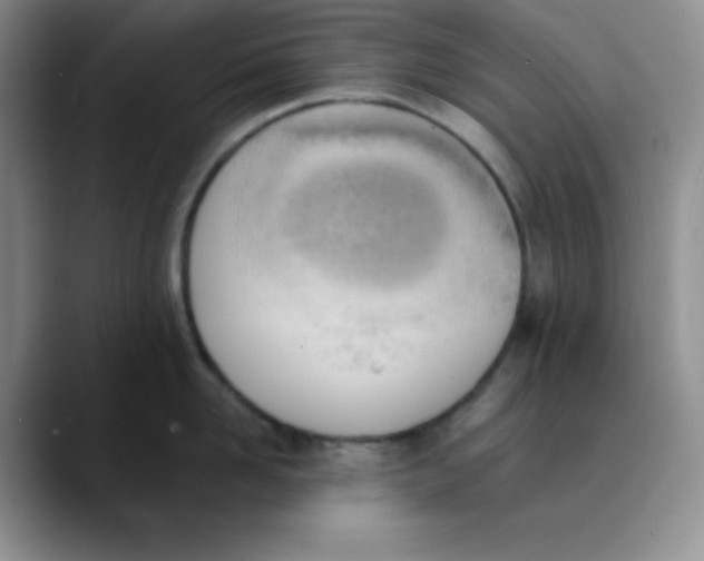 X0000089850958200707191900