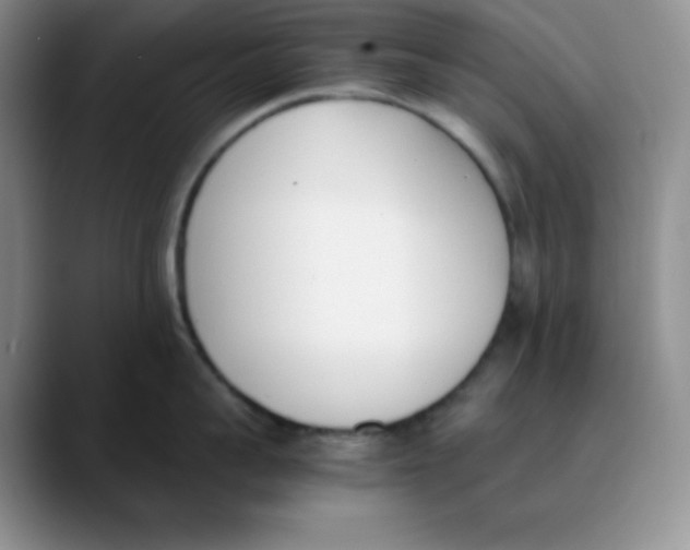 X0000089850959200707191900