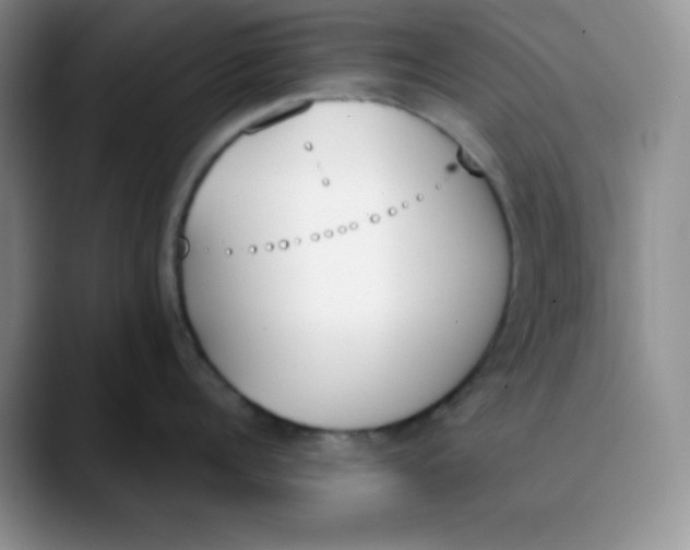 X0000089850960200707191900