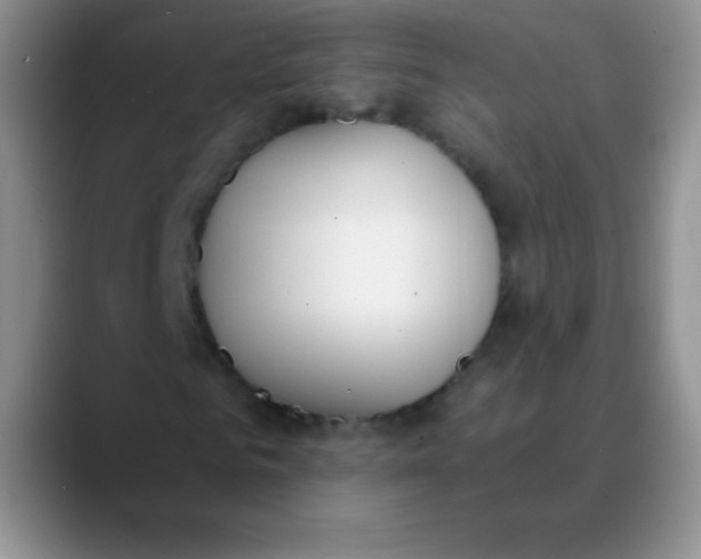 X0000089850961200707191859