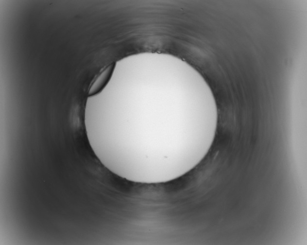 X0000089850962200707191859