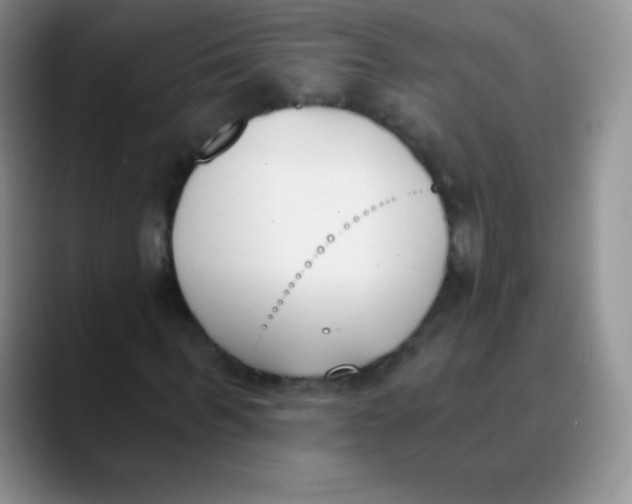 X0000089850963200707191859