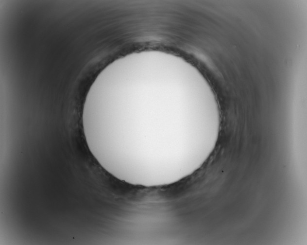 X0000089850967200707191859