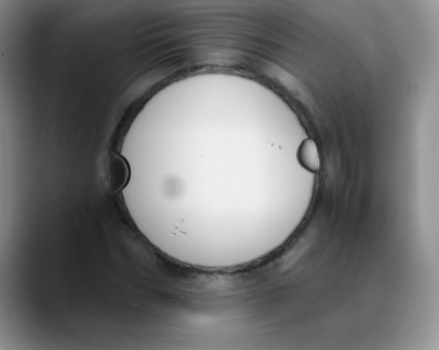 X0000089850970200707191859