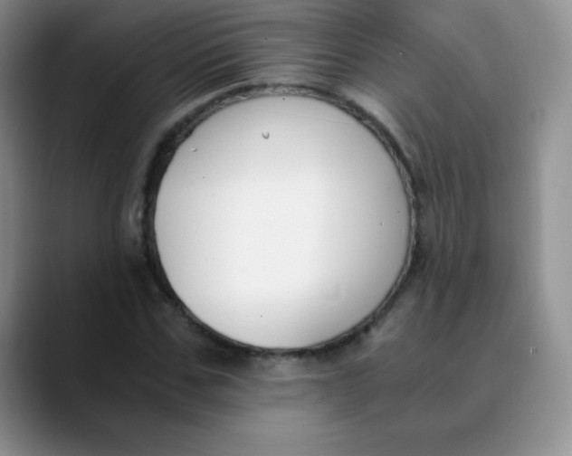 X0000089850971200707191859