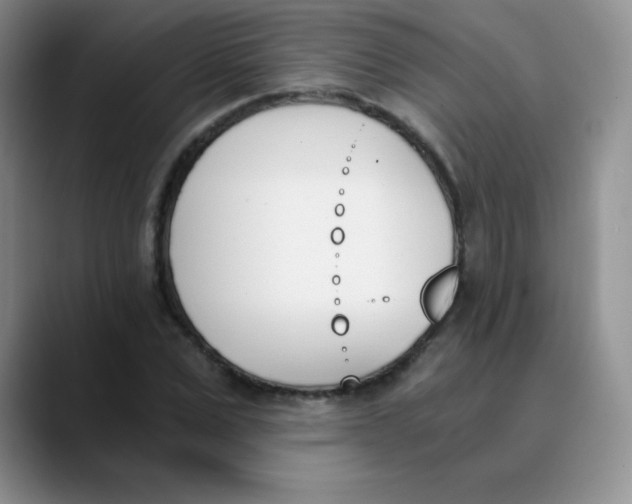 X0000089850975200707191859