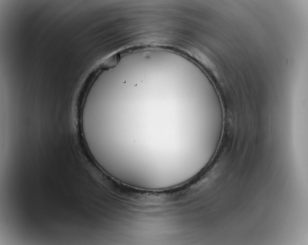 X0000089850981200707191859