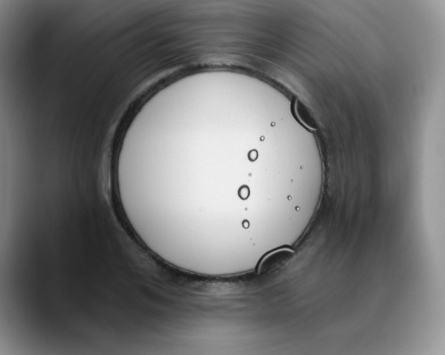 X0000089850984200707191859