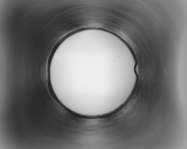 X0000089850988200707191859