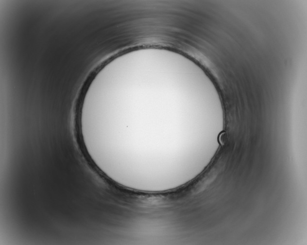 X0000089850991200707191859