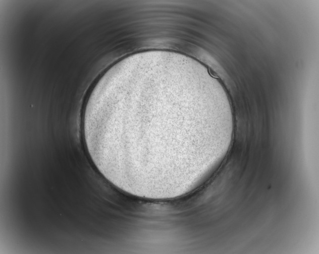 X0000089850994200707191859