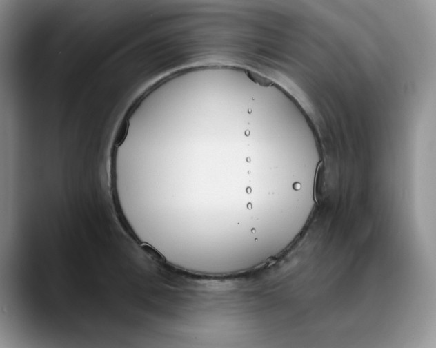 X0000089850996200707191859