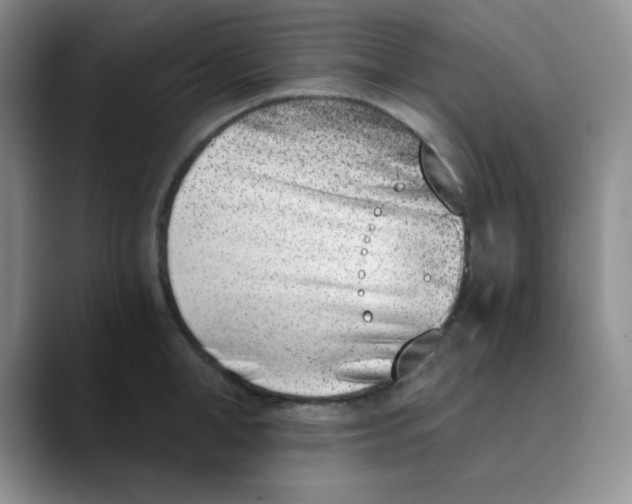 X0000089850998200707191859