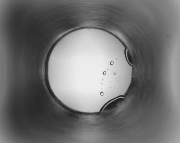 X0000089850999200707191859