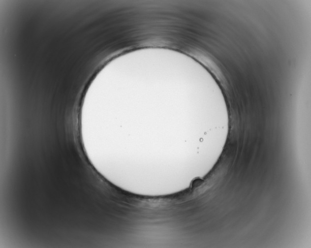 X0000089851000200707191859