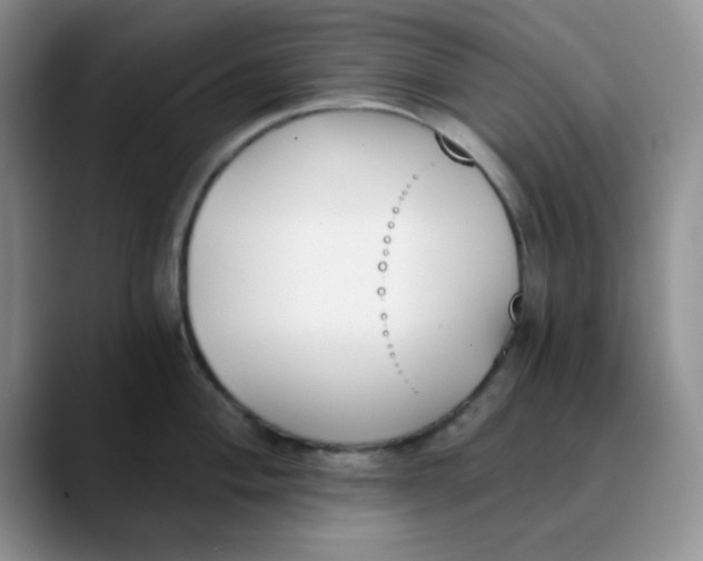 X0000089851004200707191859