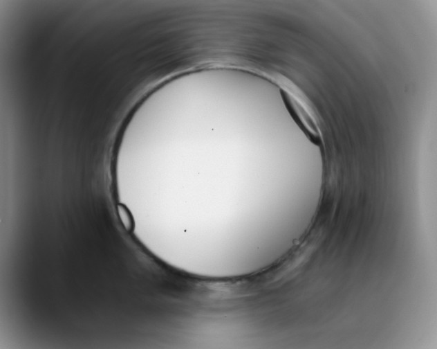 X0000089851005200707191859