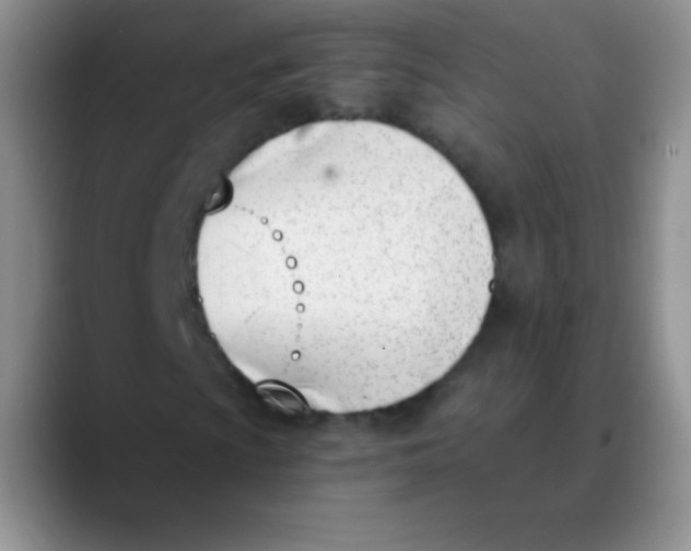 X0000089851009200707191858