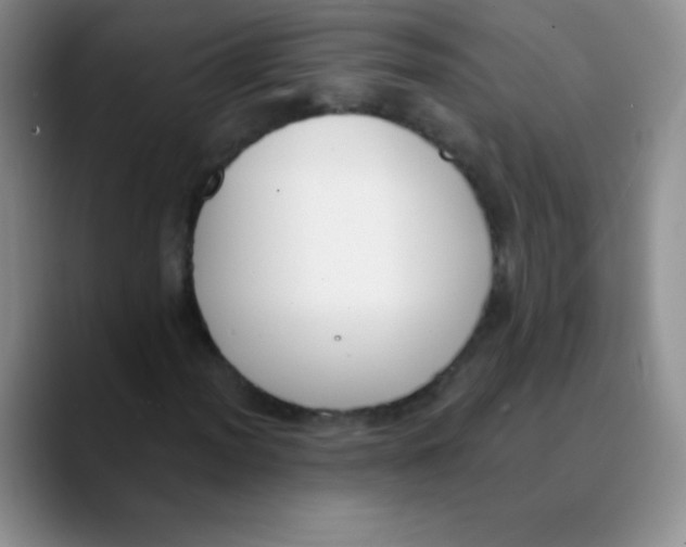 X0000089851012200707191858