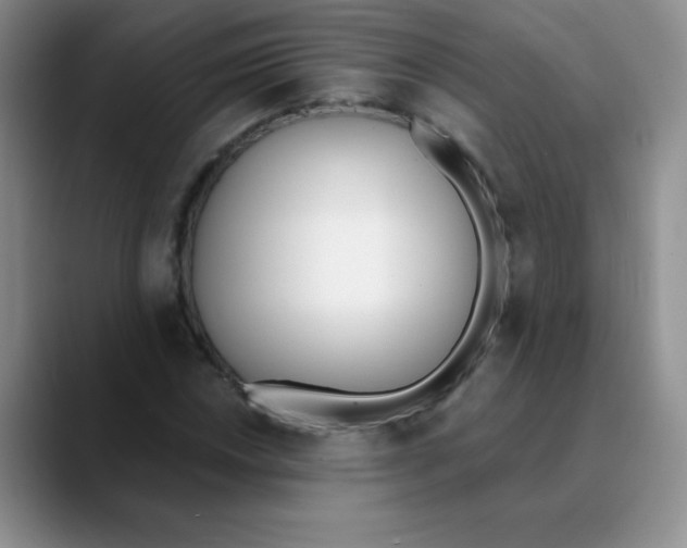 X0000089851018200707191858