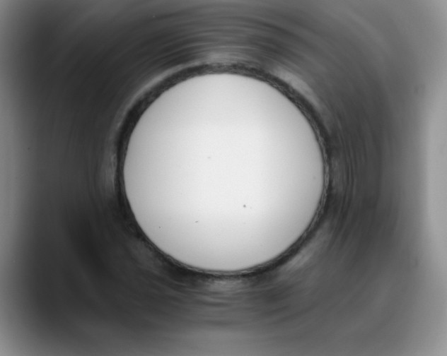 X0000089851021200707191858