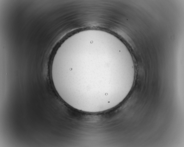 X0000089851023200707191858