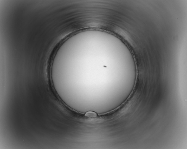 X0000089851026200707191858