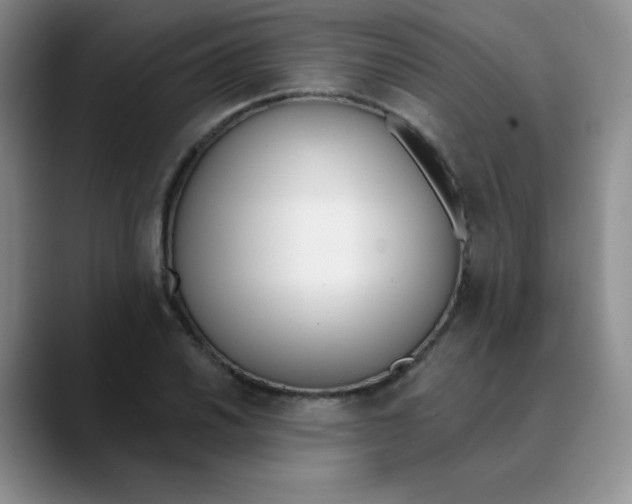 X0000089851030200707191858