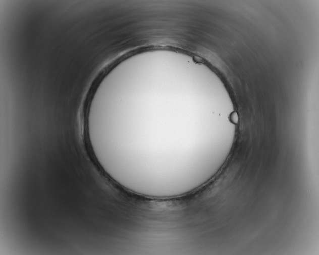 X0000089851032200707191858