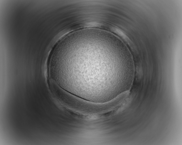 X0000089851034200707191858