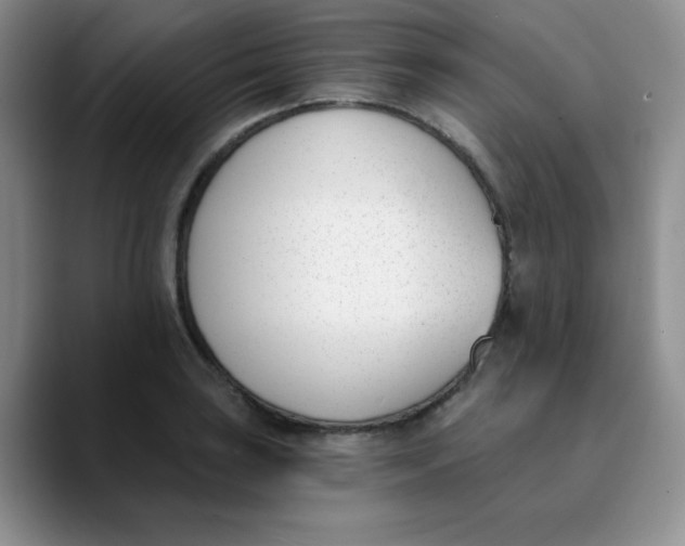 X0000089851035200707191858