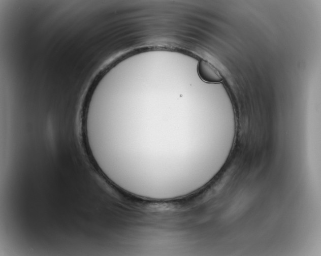 X0000089851037200707191858