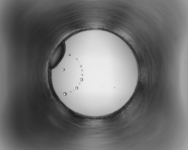 X0000089851039200707191858