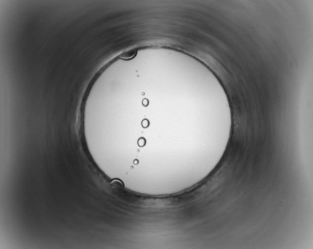 X0000089851044200707191859