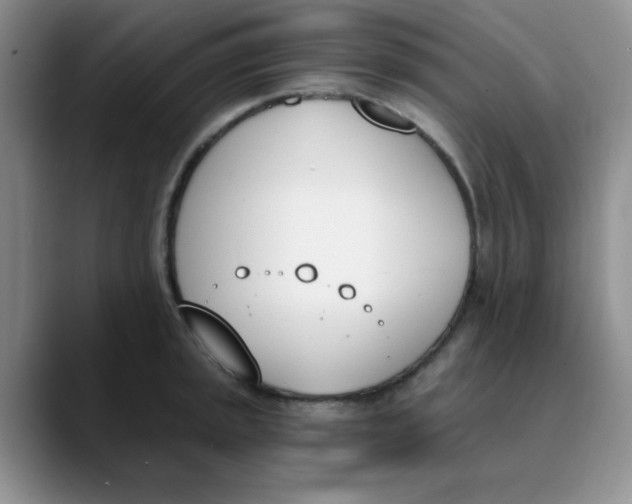 X0000089851045200707191859