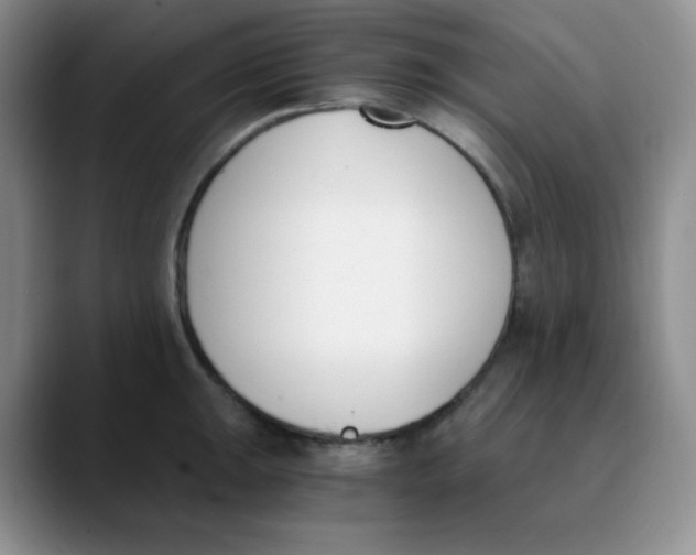 X0000089851047200707191859