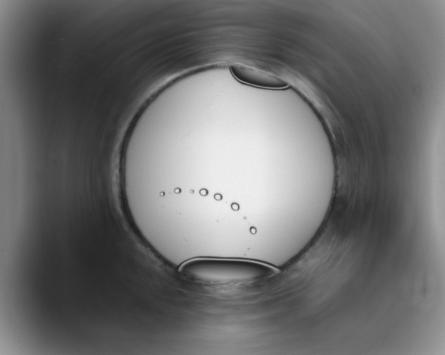 X0000089851048200707191859