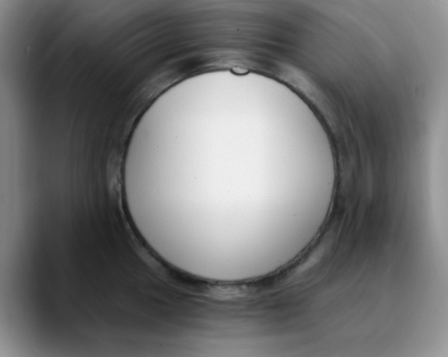 X0000089851049200707191859