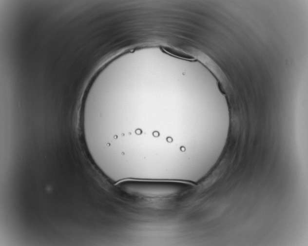 X0000089851052200707191859