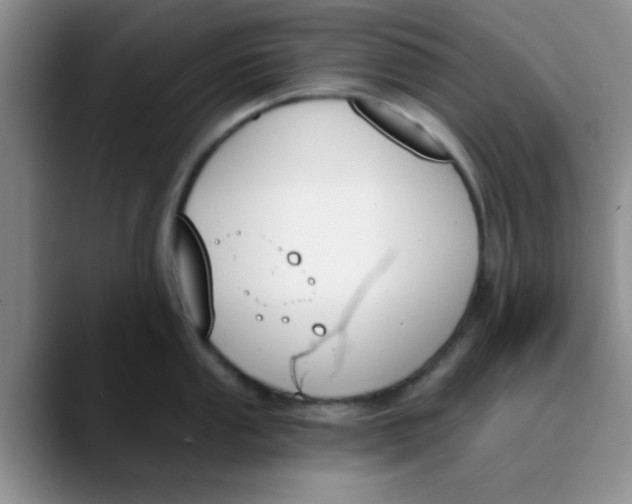 X0000089851053200707191859