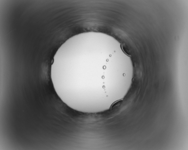 X0000089851060200707191858