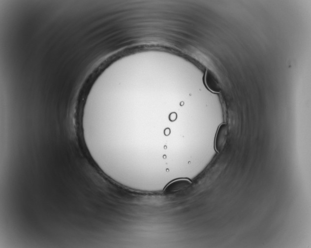 X0000089851068200707191858