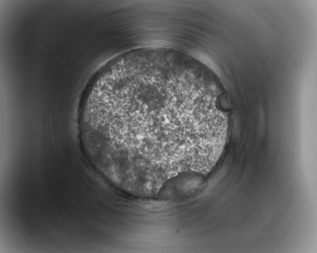 X0000089851071200707191858