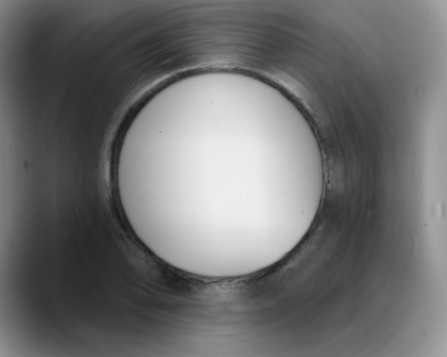 X0000089851078200707191858