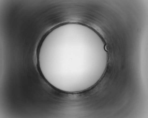 X0000089851080200707191858